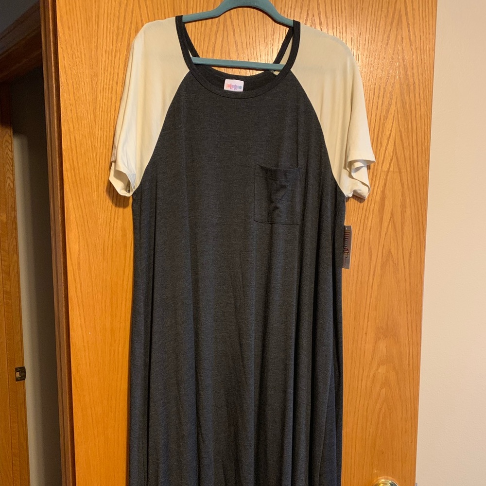 2XL Gray/Cream Carly Swing Dress - NWT